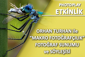 Makro Fotoğrafçılık Semineri
